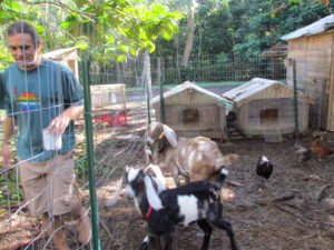 03-justin-feeds-the-goats